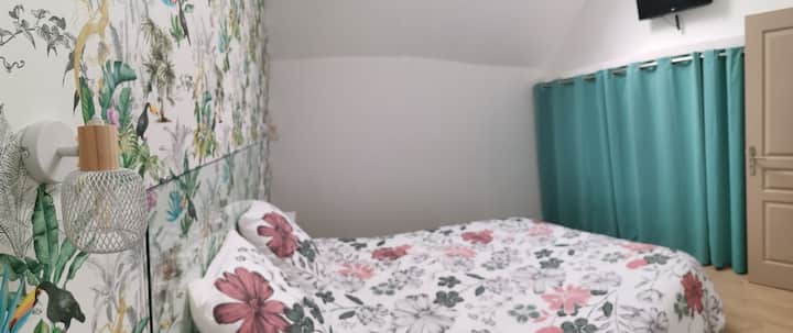 Chambre principale avec l’un lit 160. Télévision et  un grand dressing. 