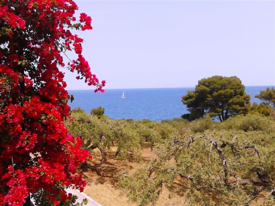 Panoramablick