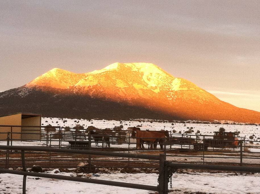 South Mountain and our horses