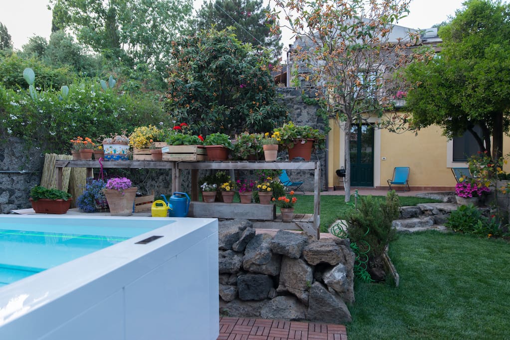 the garden and the pool
