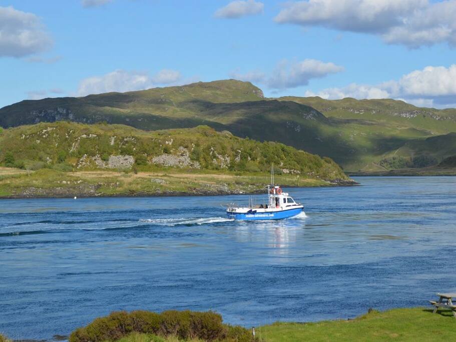 Wildlife trips available locally
