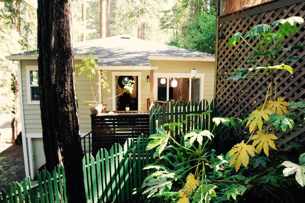 A charming exterior view of the cabin is framed by tall redwood trees and leafy greenery. The yellow cabin features a welcoming entrance with a decorative window, while a green picket fence and wooden deck create a cozy atmosphere.