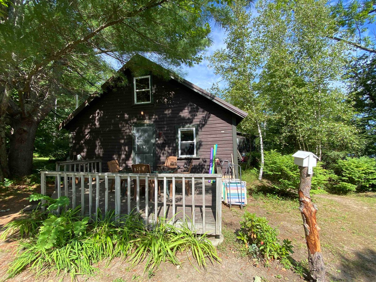 A cabin with dark wood siding is set among lush greenery and tall trees. A spacious deck features matching chairs and a railing, while colorful pool noodles stand against the cabin walls. The natural surroundings provide a serene backdrop to the inviting exterior.