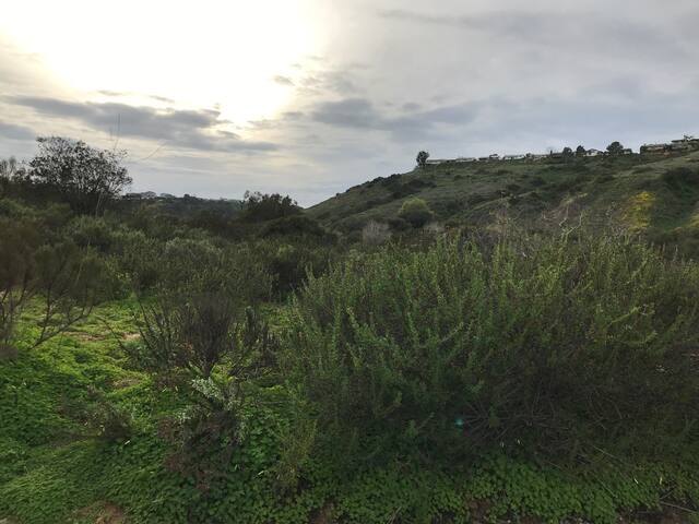 Zen Vibes- private pool/spa, central location. gallery image 5