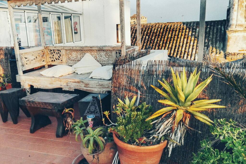 Shared big terrace