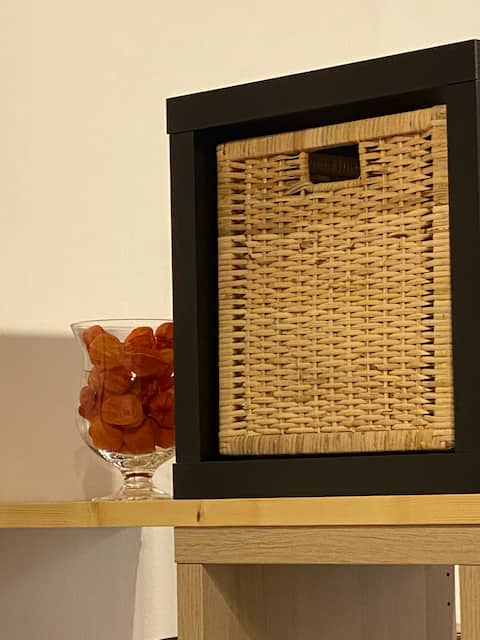 Brand new historic downtown apartment