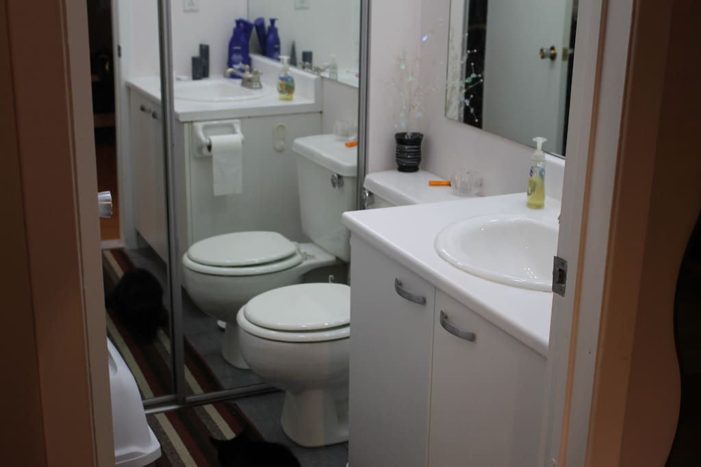 Toilet & Washer/Dryer