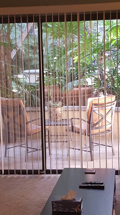 Living room and Patio