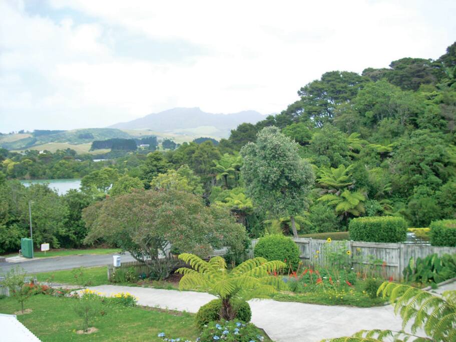 Garden and bush outside the gate