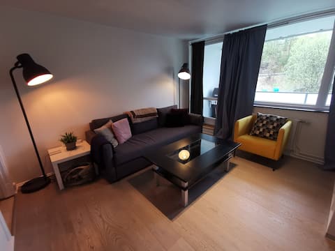 Cozy apartment very central. Free parking