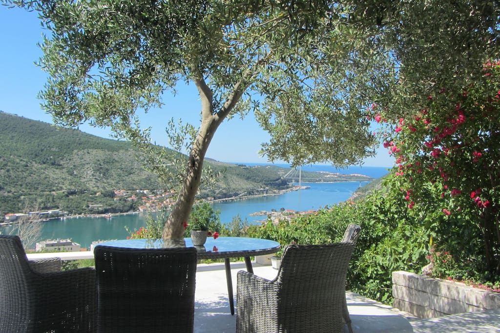 Vacation dream