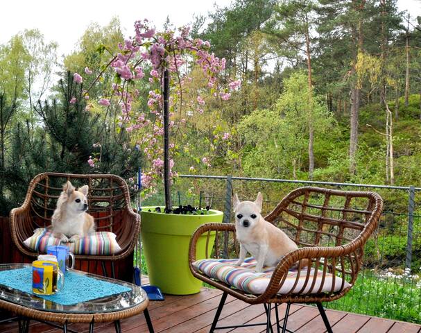 Comfortable double room, free parking