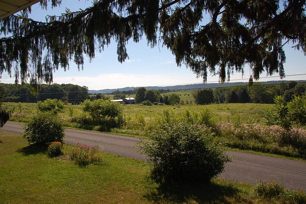 View from the porch