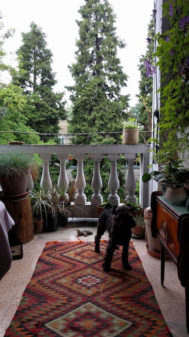 The loggia