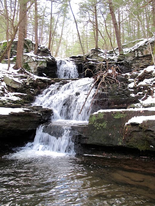 The waterfall in the woods