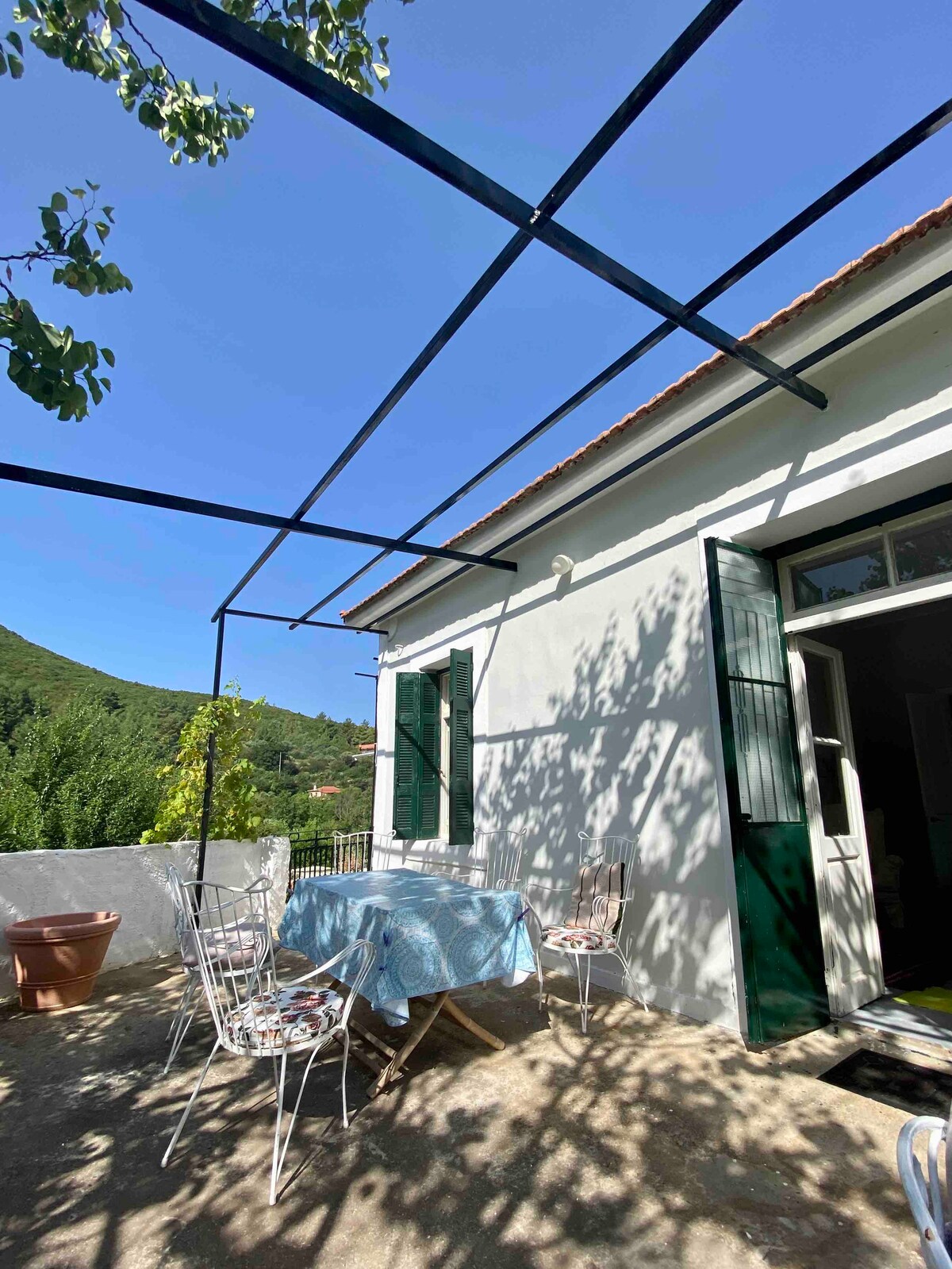 A dining area is shown under a metal frame, featuring a blue-and-white checkered tablecloth draped over a table surrounded by white iron chairs. Sunlight filters through vibrant green leaves, casting playful shadows on the wall of the traditional Greek house.