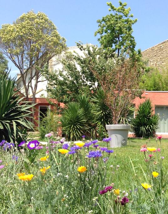 jardin