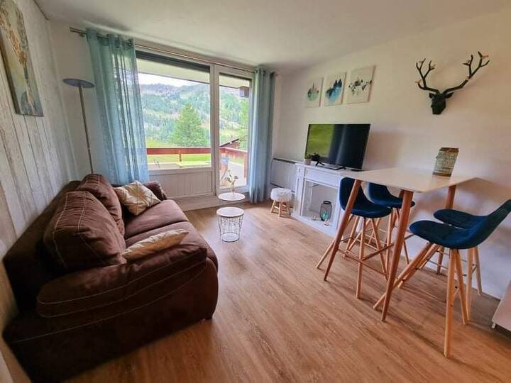 1 bedroom apartment + closed cabin, runway access at 100m Apartments