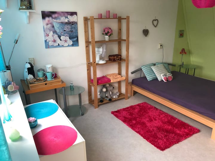 Private room/floor in Nijmegen Houses for Rent in Nijmegen