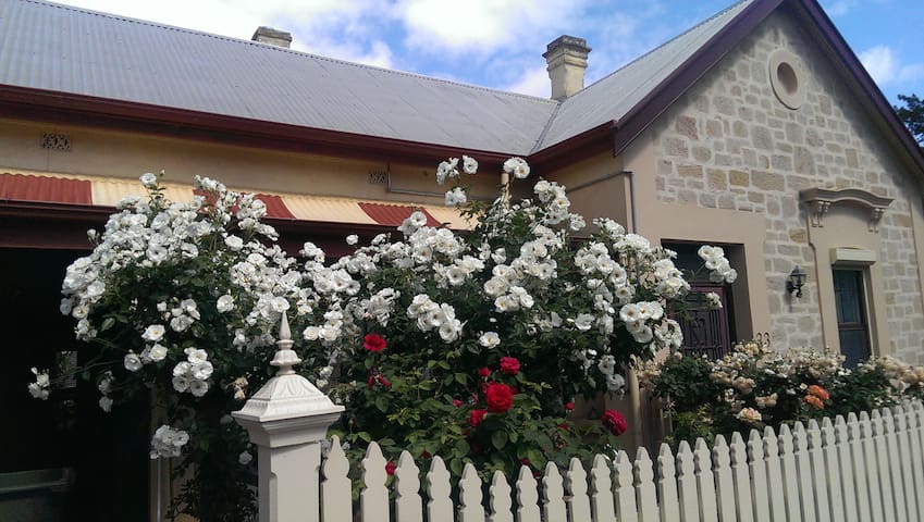 Central Adelaide - a walk through  Botanic Gdns