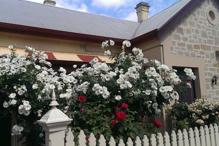 Central Adelaide - a walk through  Botanic Gdns