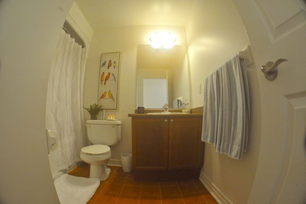 Your bathroom