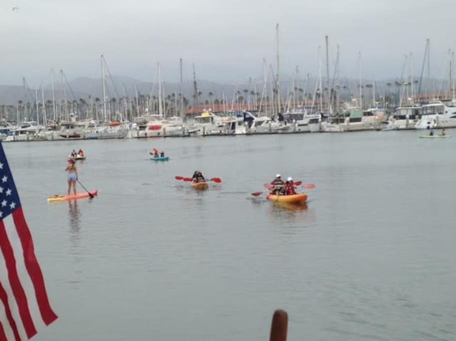 Paddling in the Harbor