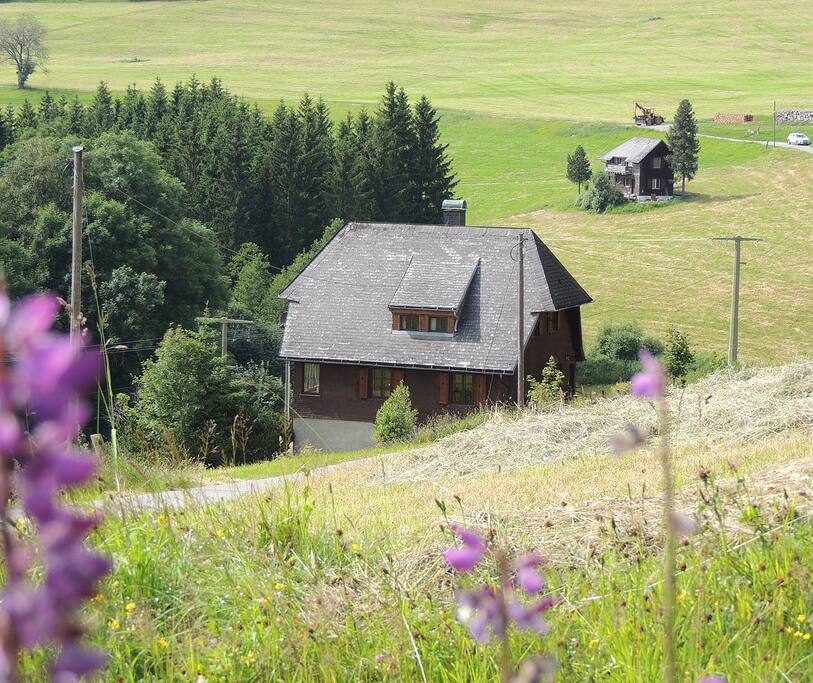 Das ist Ihr Ferienhaus!