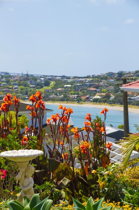 Front garden view to Manly Beach