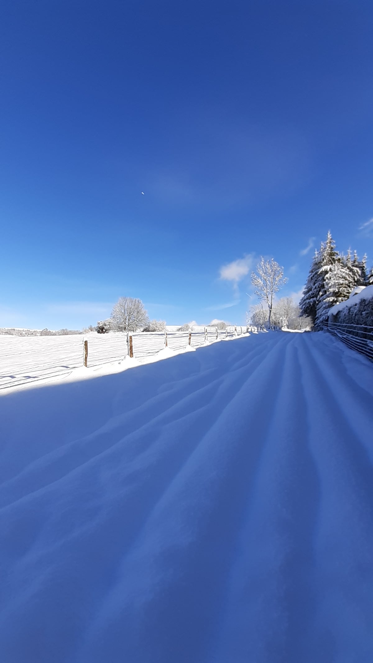A snow-covered pathway winds through a winter landscape, flanked by a wooden fence. Tall trees, adorned with white snow, stand along the path, under a clear blue sky with only a few wispy clouds visible.