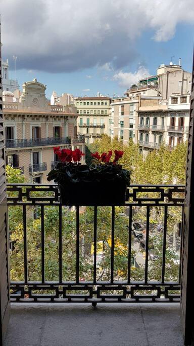Vistas des del balcón.