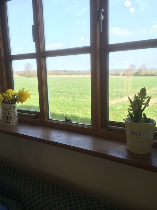 Far reaching views over pristine Norfolk countryside from the kitchen and bedroom windows.
