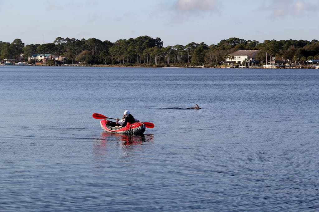 Just steps away
(at Grand Lagoon)
Kayaking with dolphins