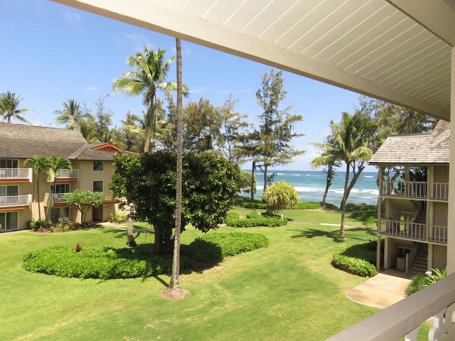 View from lanai looking right.