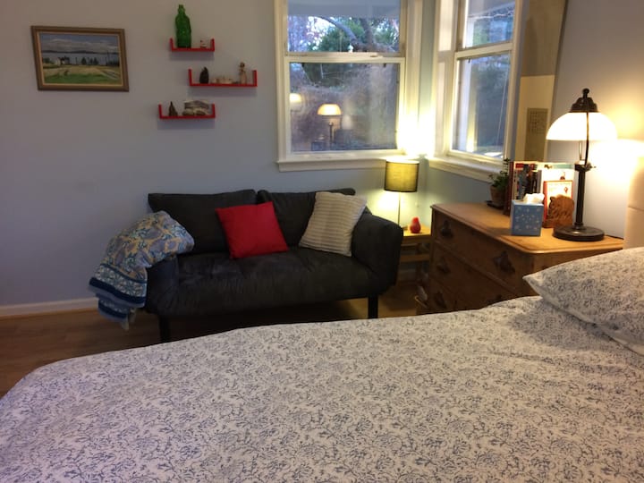 أريكة/كرسي فخم عميق يفتح على سرير مزدوج مريح.