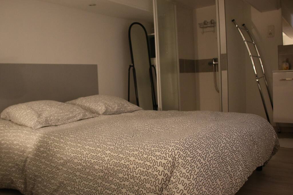 chambre 1 mezzanine avec douche