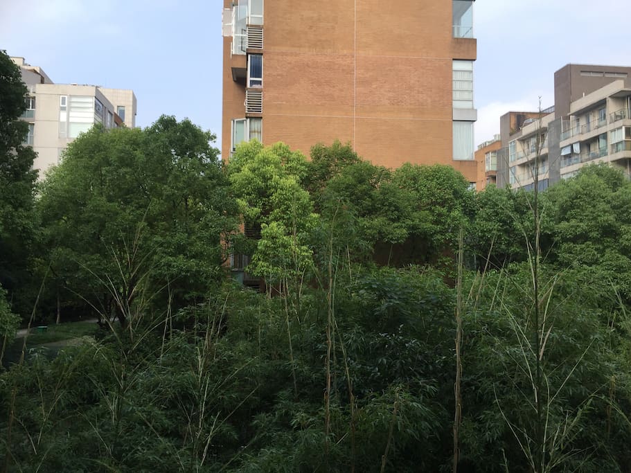 窗外风景The scenery