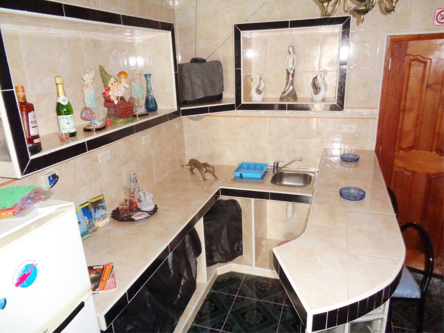 Kitchen of the room, decorates to please the guests, with a refrigerator. Cocina de la habitación independiente decorada para agradar a los huéspedes, con refrigerador incluido.