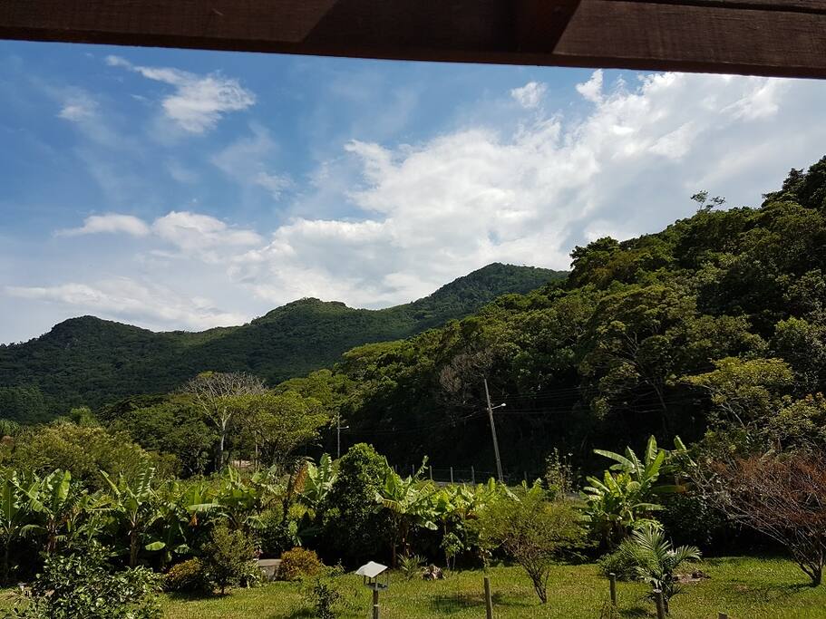 Mata Atlântica do entorno