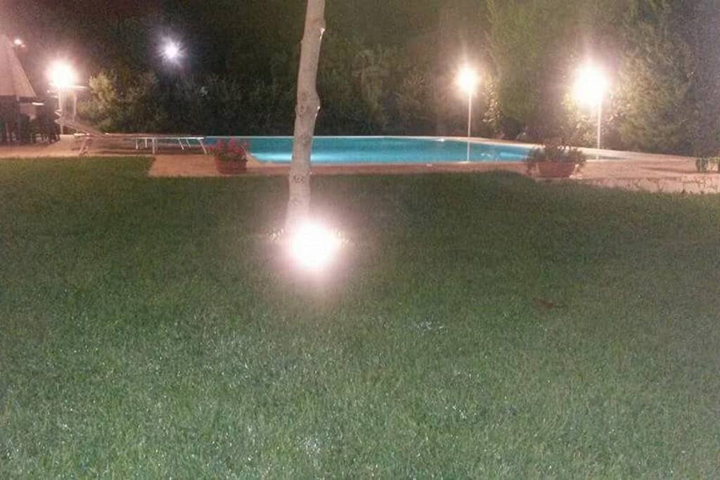 il nostro prato illuminato