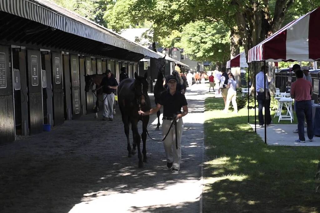 1 block from Fasig-Tipton
