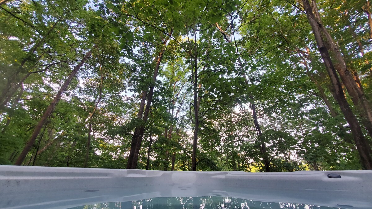 A view from the hot tub captures the serene canopy of leaves above, with tall trees creating a natural setting. Soft light filters through the branches, enhancing the tranquil atmosphere, while the water surface reflects the surrounding greenery.