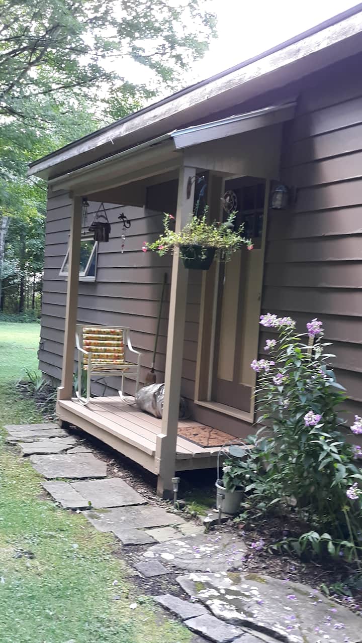 The Moose Lodge Guesthouses for Rent in Downsville, New York, United