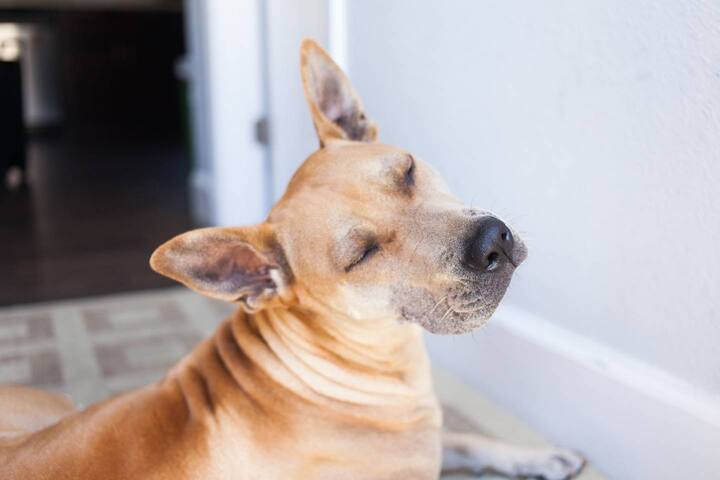 Bunk bed in Treat Street Hostel