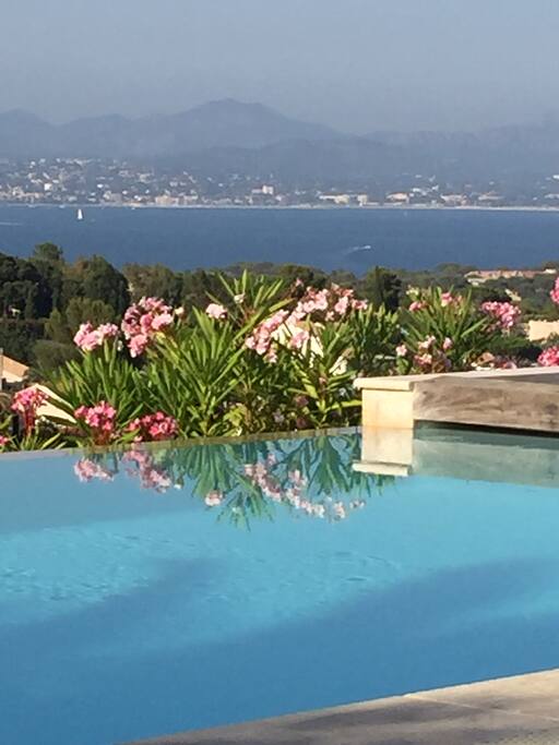 Piscine privée