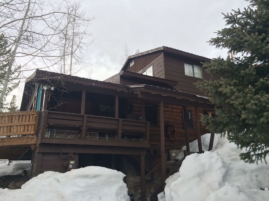 TUP - Treehouse Up-
winter welcome