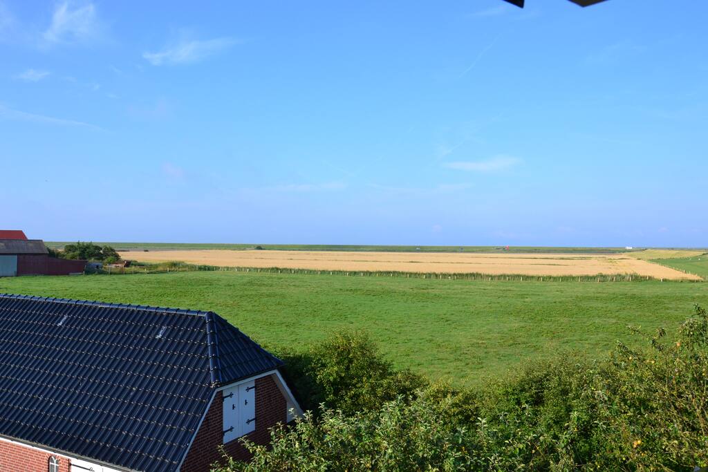 Freie Sicht über das Land.