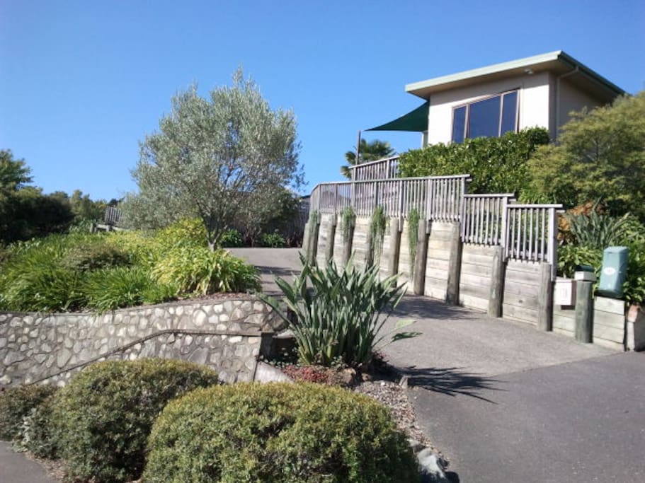 Driveway to the house.