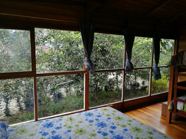 Chambre 1