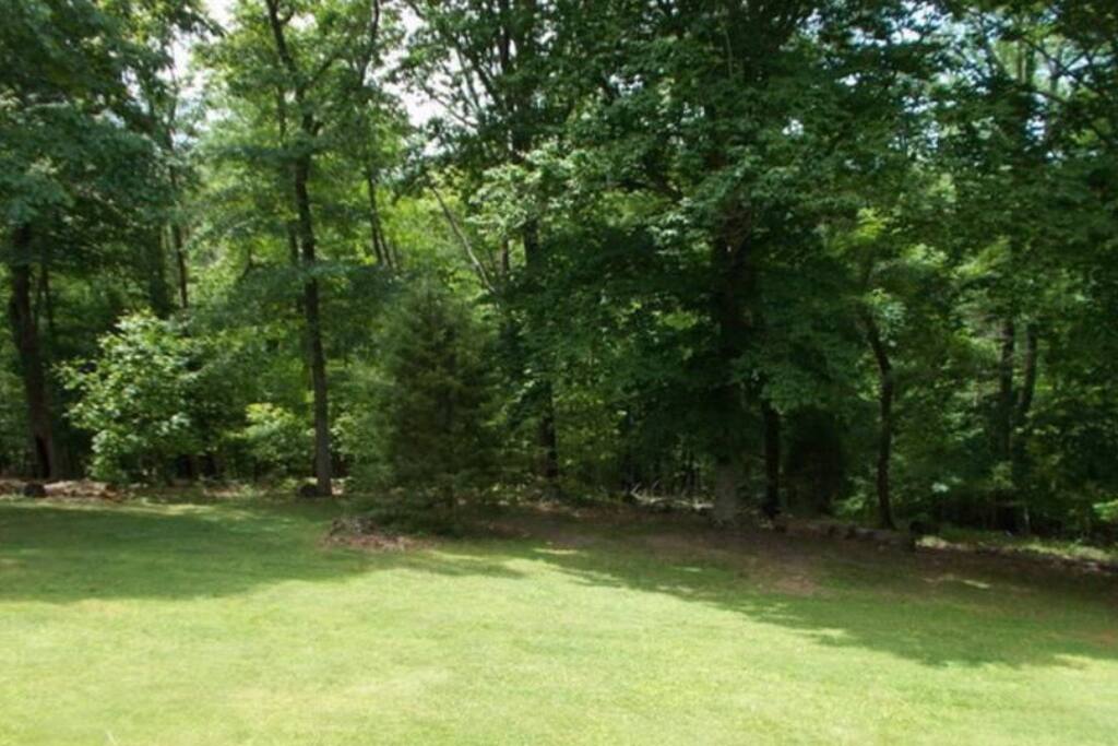 Sloping back yard